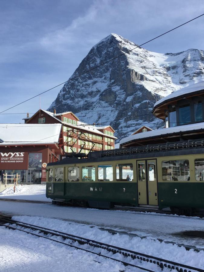 Chalet Carve - Apartments Eiger, Moench And Jungfrau กรินเดลวัลด์ ภายนอก รูปภาพ